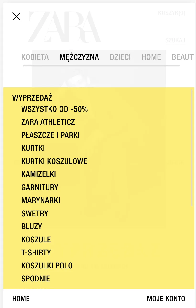 Kategorie promocyjne w sklepie ZARA